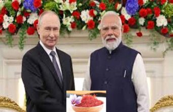 पुतिन को कश्मीरी केसर भेंट कर पीएम मोदी ने दिया किसानों को बड़ा संकेत, देशभर में हुई चर्चा