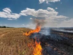 मध्य प्रदेश पराली जलाने में देश में पहले स्थान पर, किसानों की जागरूकता प्रयास विफल