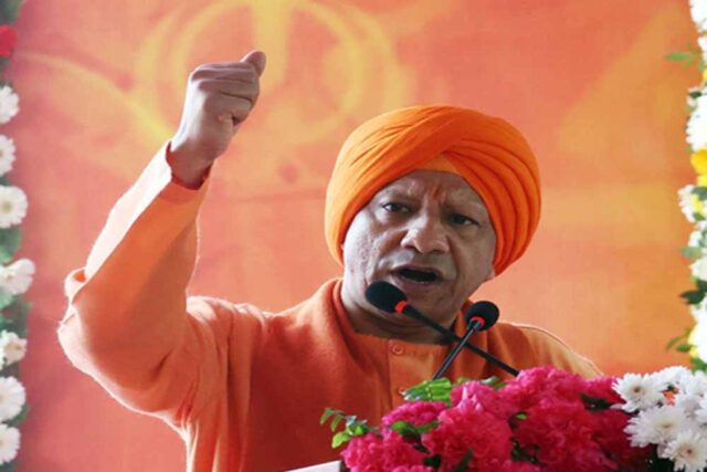 yogi-16.jpg