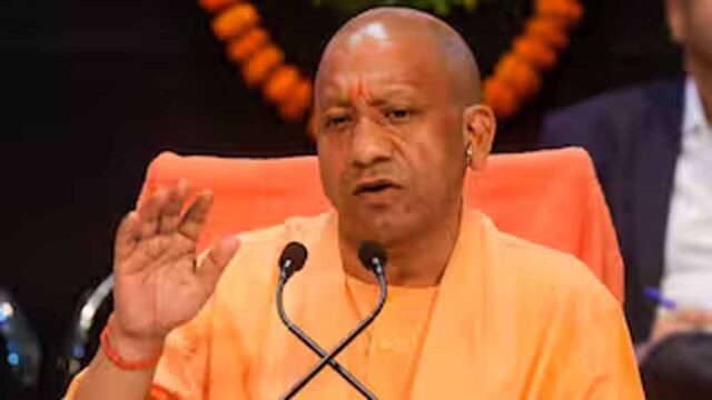 yogi-2.jpg