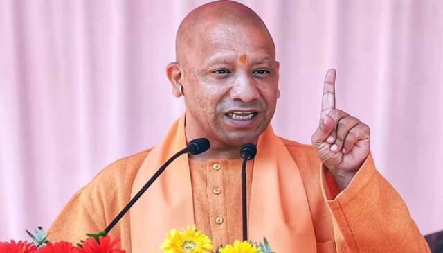 yogi-9.jpg