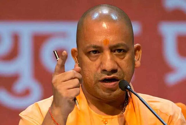 yogi_cm_132_3-7.jpg