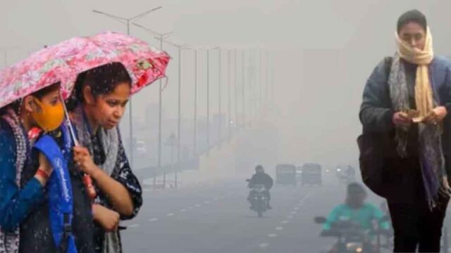 barish1.jpg