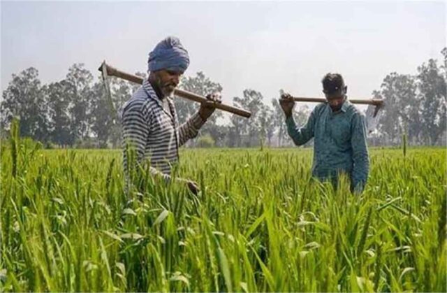 kisan-1.jpg
