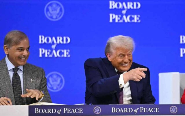 trump03.jpg