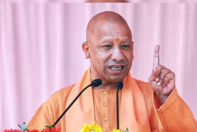 yogi_cm_132_1-4.jpg