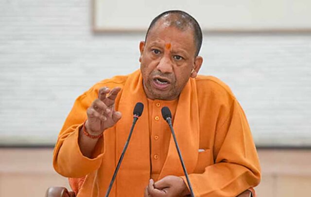 yogi_d_93_2-3.jpg