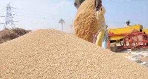 किसानों को राहत: छत्तीसगढ़ में धान खरीदी की अवधि बढ़ी, 4–5 फरवरी को भी होगी खरीद