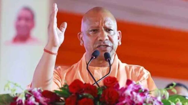 yogi-1.jpg