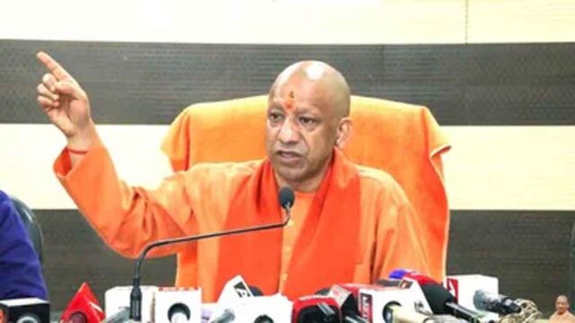 yogi.jpg