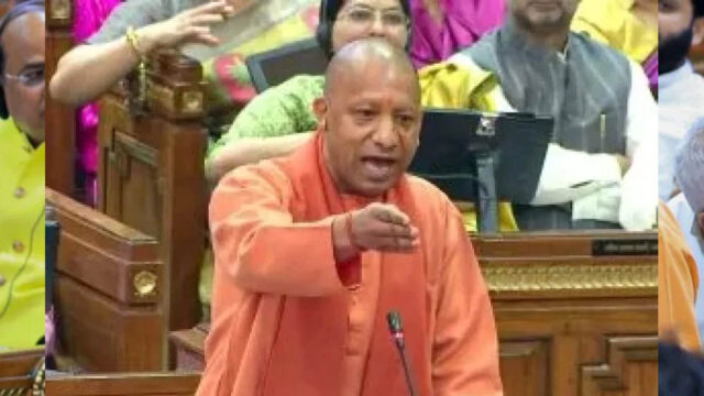 yogi_3A_111_4-1.jpg