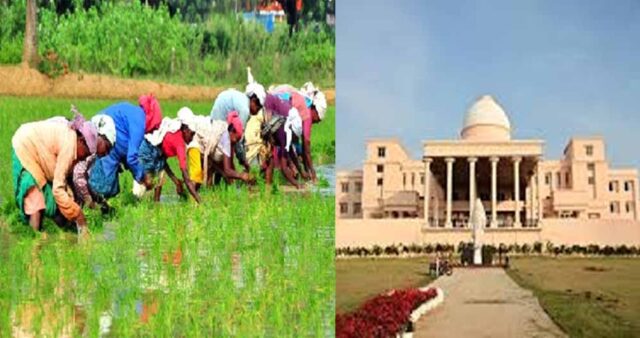 Chhattisgarh_News_01-1-5.jpg