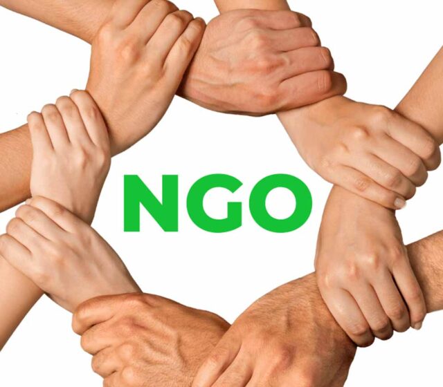 Ngo_01.jpg