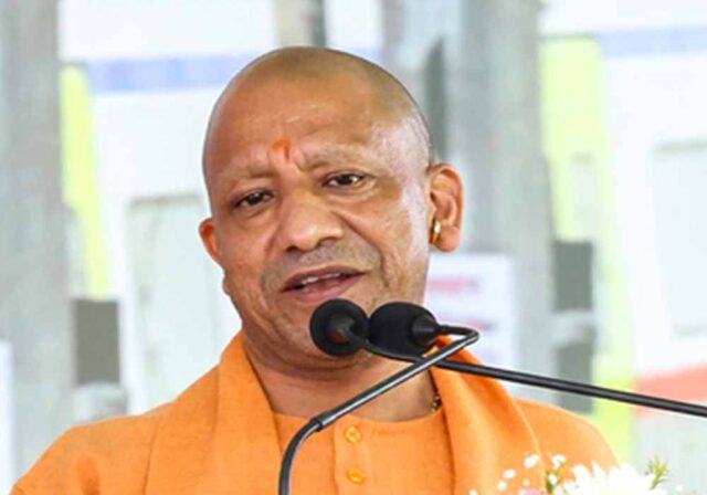 Yogi_01_copy.jpg
