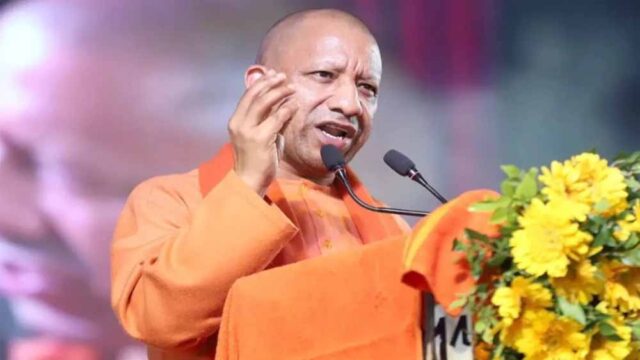 Yogi_1.jpg