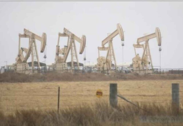 oil-1.jpg