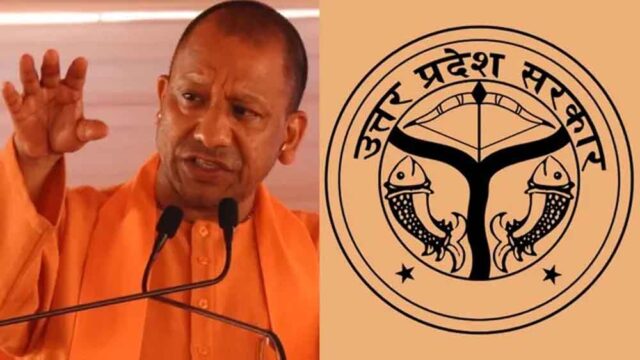 yogi.jpg