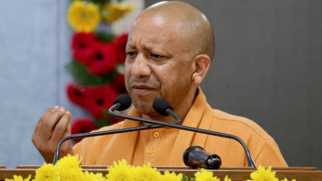 yogi_133_3-6.jpg