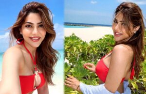 निक्की तंबोली की बिकिनी तस्वीरें, BF के साथ रोमांटिक पल, दूसरे धर्म में शादी की योजना!