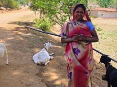 रायपुर:महतारी वंदन योजना से पहाड़ी कोरवा परिवारों की तकदीर बदल रही है