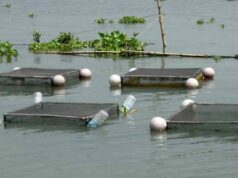 अम्बिकापुर : मत्स्य पालन हेतु जलाशयों का 10 वर्षीय लीज आबंटन के लिए आवेदन आमंत्रित