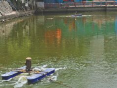 निगम की नई पहल: नैनो एरेटर तकनीक से तालाबों में पानी की गुणवत्ता में सुधार, 10 दिन में असर दिखा