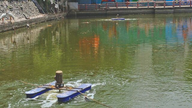 27_A0127.jpg