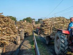 प्रदेश के गन्ना किसानों को होगा बड़ा फायदा, प्रशिक्षण और तकनीक से बढ़ेगी पैदावार