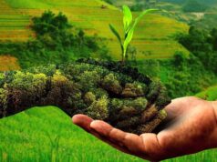 कम लागत में ज्यादा कमाई : प्राकृतिक खेती से बदल रही यूपी के किसानों की तकदीर