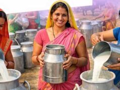 महिला सशक्तिकरण की नई उड़ान: 6 जिलों की 55 हजार+ महिलाओं ने शुरू किया सफल कारोबार