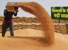 किसानों को मिली बड़ी राहत, गेहूं उपार्जन की तारीख बढ़ाई गई, नया अपडेट जानें