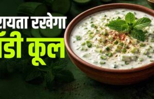 गर्मियों के लिए परफेक्ट पुदीना-लहसुन रायता, स्वाद और सेहत दोनों में शानदार