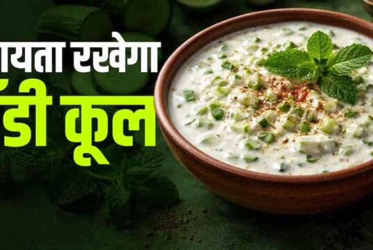 गर्मियों के लिए परफेक्ट पुदीना-लहसुन रायता, स्वाद और सेहत दोनों में शानदार