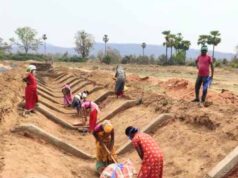 छत्तीसगढ़ ने बनाया रिकॉर्ड: मनरेगा श्रमिकों की 97.11% ई-केवाईसी पूरी, देश में अव्वल