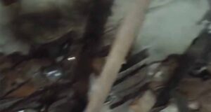 Korba Breaking: अधूरे मकान की दीवार ढही, मलबे में दबे दंपति और बच्चा- तीनों घायल