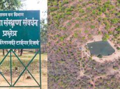 Forest Protection Model: उदंती सीतानदी में 750 जल स्रोतों के साथ ‘फायर-वॉटर’ रणनीति, आग पर काबू