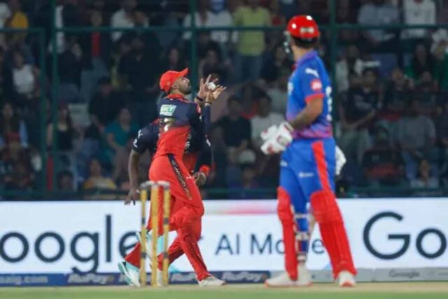Cricket_02.jpg