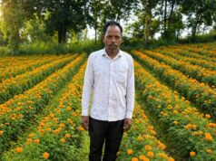 परंपरागत खेती छोड़ फूलों की खेती अपनाई, कम लागत में मिला ज्यादा मुनाफा
