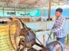 मजदूरी की बेड़ियों को तोड़ ‘‘मल्टी-फार्मिंग‘‘ के नायक बने ललित यादव