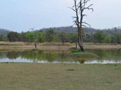 जल प्रबंधन का ऐसा मॉडल जो पूरे देश के लिए बना मिसाल