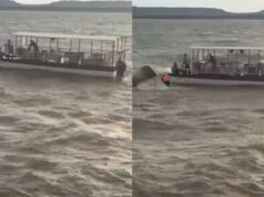 जबलपुर के बरगी डैम में क्रूज दुर्घटना: 4 की गई जान, 14 सुरक्षित; सर्च ऑपरेशन तेज