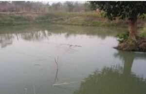 डबरी, मछली पालन और बहुफसली खेती से बदली तकदीर—सगनू बने गांव के प्रेरणास्रोत