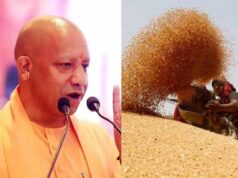 सरकार ने असमय बारिश से प्रभावित गेहूं पर दी राहत, पूरे प्रदेश में शिथिल मानकों के साथ होगी खरीद