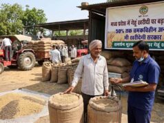 किसानों को राहत: मध्य प्रदेश में अब फीके गेहूं की भी होगी खरीदी