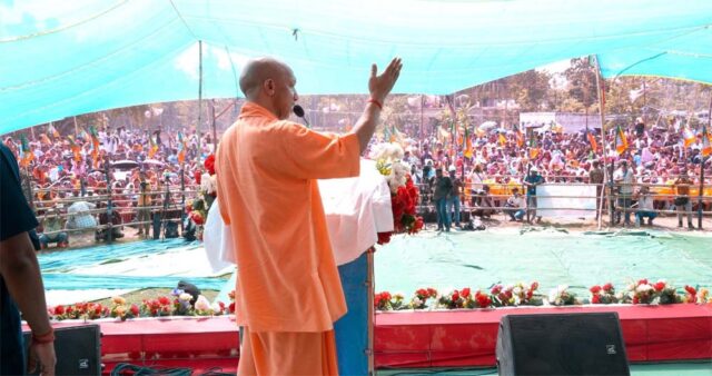 yogi-6.jpg