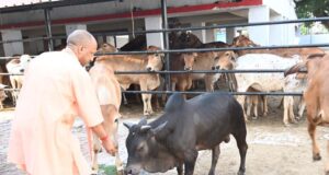 योगी सरकार का डेयरी मास्टर प्लान : 2 से 25 गाय तक लाखों का अनुदान, किसानों को सीधा फायदा