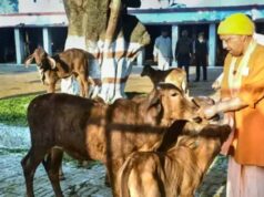 योगी सरकार का बड़ा कदम, गोबर से बनेगी कमाई और ऊर्जा का नया स्रोत