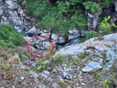कालाबन के तीखे मोड़ पर मौत का तांडव, डलहौजी घूमने आए दो परिवारों की यात्रा खत्म
