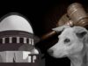 Stray Dogs मामले में SC का बड़ा फैसला, बच्चों और मरीजों की सुरक्षा को दी प्राथमिकता