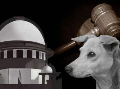 Stray Dogs मामले में SC का बड़ा फैसला, बच्चों और मरीजों की सुरक्षा को दी प्राथमिकता